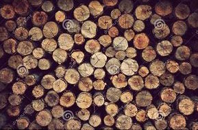 stockpile wood