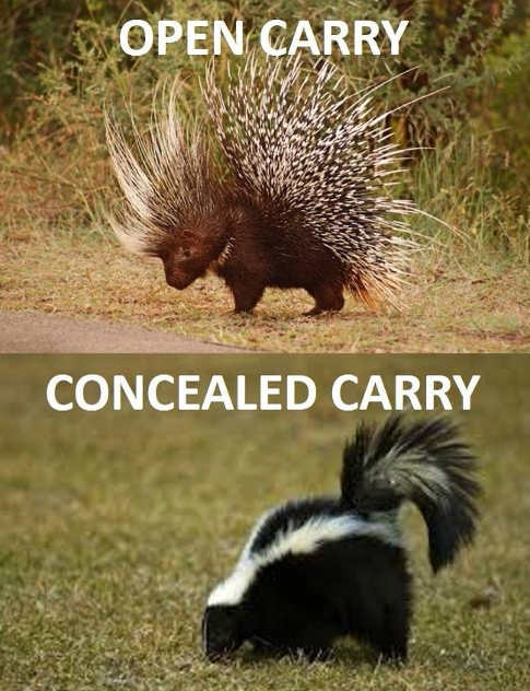 open-cary-porcupine-skunk-concealed-carry